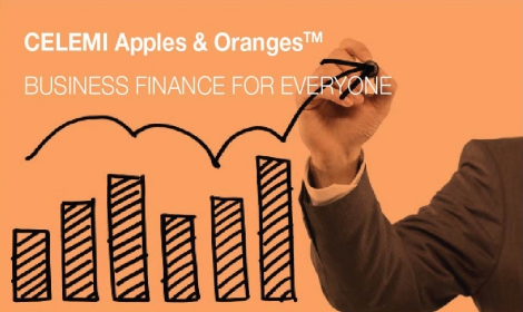 CELEMI Apples Oranges